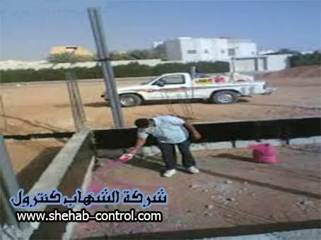 شركه مكافحة النمل الابيض بالدمام