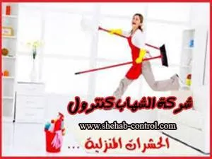 شركة مكافحة الحشرات بالدمام