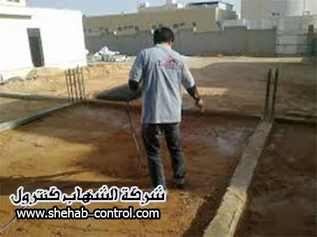 شركه مكافحة النمل الابيض بالدمام