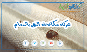 شركة مكافحة البق بالدمام