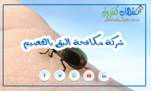 شركة مكافحة البق بالقصيم