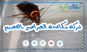 شركة مكافحة الصراصير بالقصيم