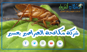 شركة مكافحة الصراصير بعسير