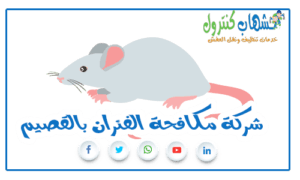 شركة مكافحة الفئران بالقصيم