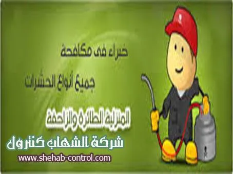شركة مكافحة الحشرات بالمدينة المنورة
