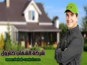شركة مكافحة الحشرات بالمدينة المنورة