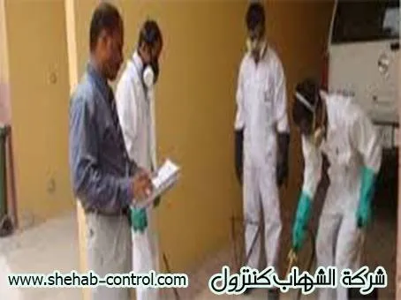 شركة رش مبيدات بالخفجي