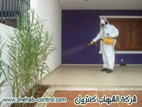 شركة رش مبيدات بالخفجي