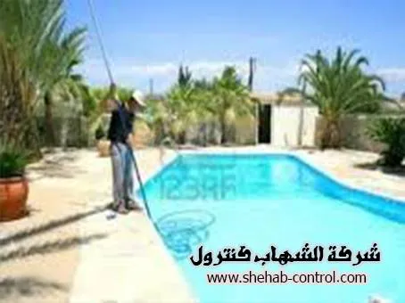 شركة تنظيف مسابح بعسير