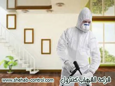 شركة رش مبيدات بالجبيل