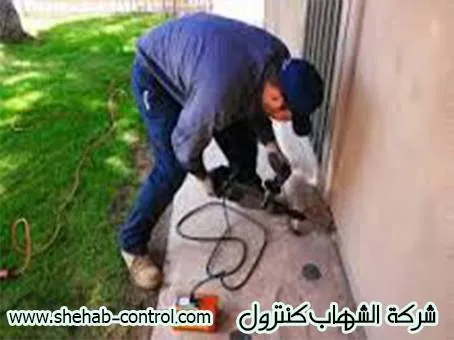 شركة رش مبيدات بالجبيل