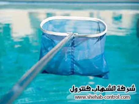 شركة تنظيف مسابح بخميس مشيط