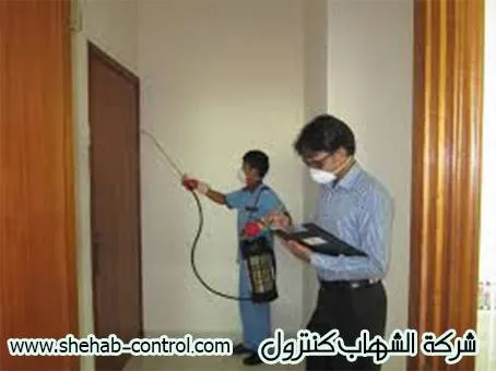 شركة رش مبيدات بالدمام