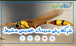 شركة رش مبيدات بخميس مشيط