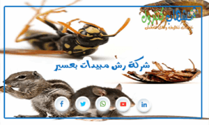 شركة رش مبيدات بعسير