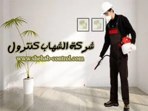 شركة مكافحة الحشرات بخميس مشيط