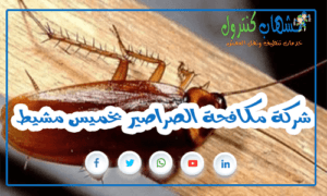 شركة مكافحة الصراصير بخميس مشيط
