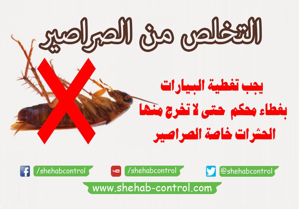 التخلص من الصراصير بتغطية البيارات