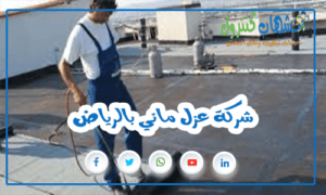 شركة عزل مائي بالرياض
