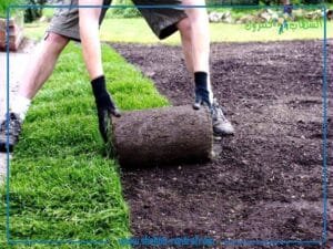 شركة تنسيق حدائق بجدة