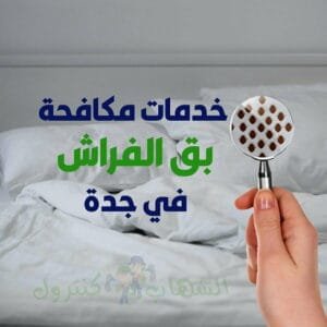 شركة مكافحة البق بجدة