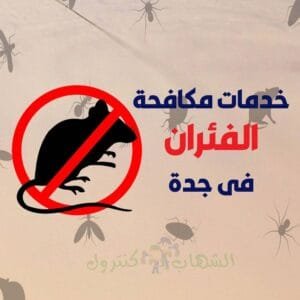 شركة مكافحة الفئران بجدة
