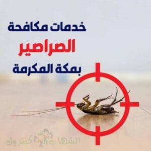 شركة-مكافحة-الصراصير-بمكة