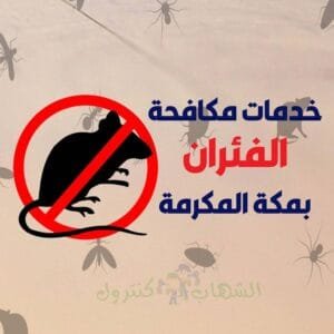 شركة مكافحة الفئران بمكة