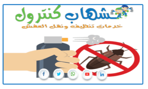 القضاء على الصراصير الصغيرة بجدة