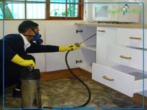 التخلص من الحشرات المنزلية بجدة