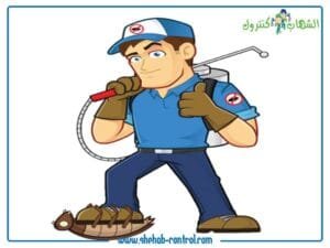 شركات رش الحشرات بجدة