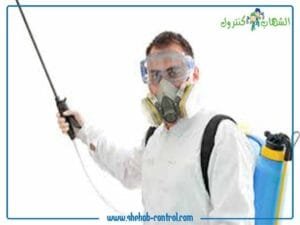 شركة ابادة حشرات بجدة