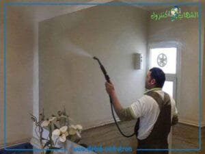 شركة متخصصة في مكافحة الحشرات بجدة