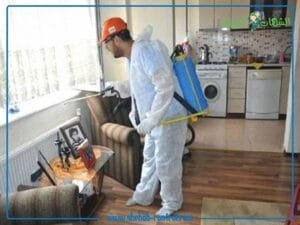 شركة مكافحة النمل بجدة