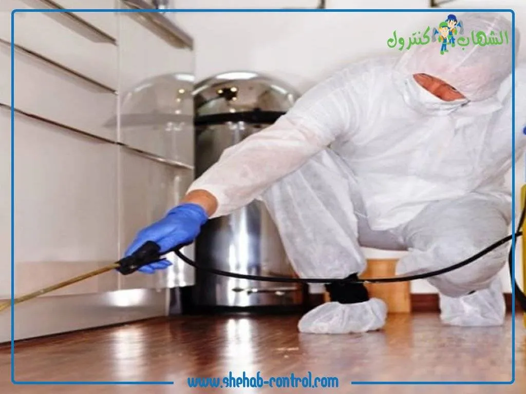 افضل شركات رش الصراصير بجدة