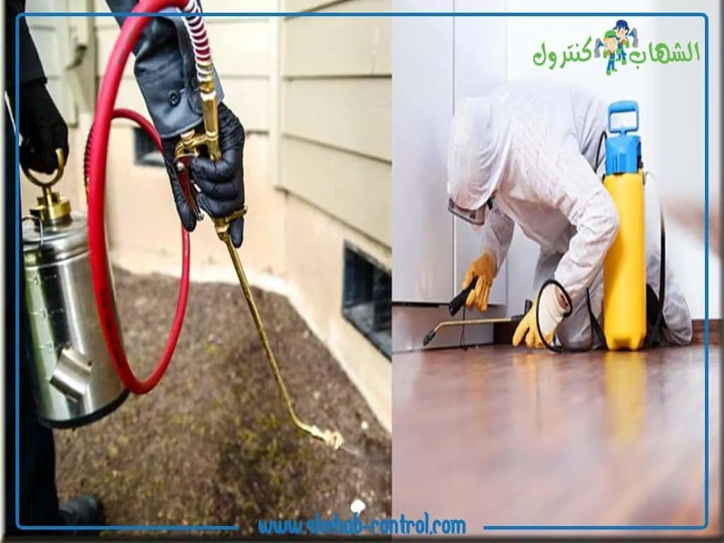 أنواع المبيدات المستخدمة في مكافحة الحشرات بجدة - معتمدة من وزارة الصحة