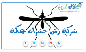 شركة رش حشرات بمكة