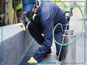 شركة مكافحة الحشرات بجدة