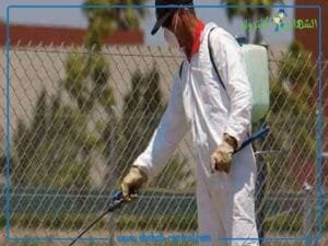 شركة مكافحة الحشرات بجدة