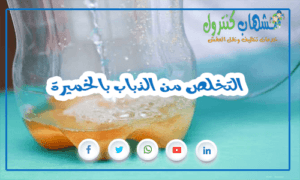 التخلص من الذباب بالخميرة