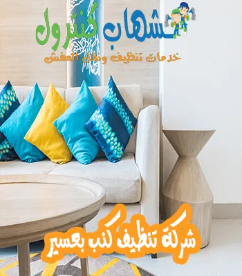 شركة تنظيف كنب بعسير شركة تنظيف كنب بعسير