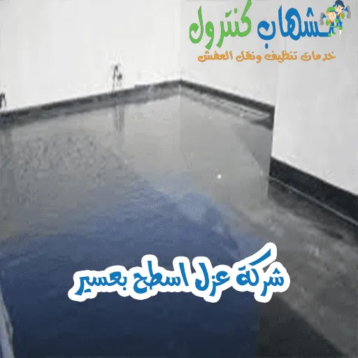شركة عزل اسطح بعسير