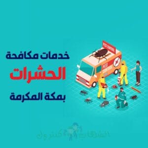 شركة مكافحة الحشرات بمكة