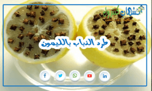 طرد الذباب بالليمون