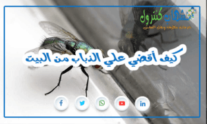 كيف أقضي علي الذباب
