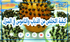 التخلص من الذباب والناموس