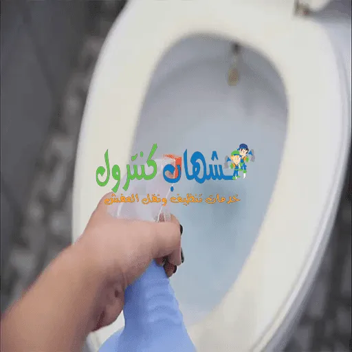 كيفية تسليك المرحاض المسدود
