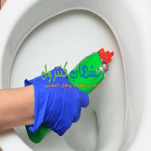كيفية تسليك المرحاض المسدود