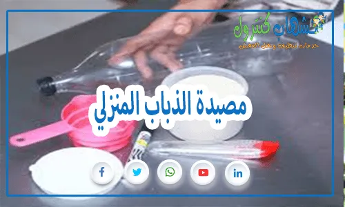 مصيدة-الذباب-المنزلي