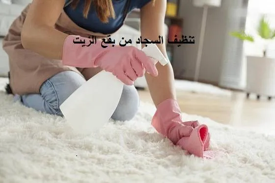 تنظيف السجاد